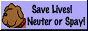 spayneuter.gif (2609 bytes)
